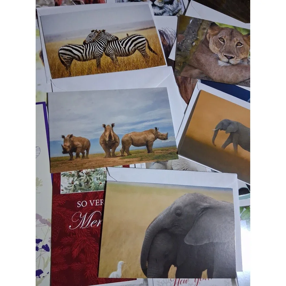 Vintage greeting cards/envelopes National geographic, world wild life, 26 pieces